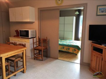 Appartement La Bresse