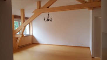 Appartement La Bresse