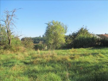 Terrain Bruyères