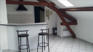 Appartement Nancy