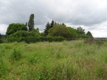 Terrain Courcelles-sur-Nied