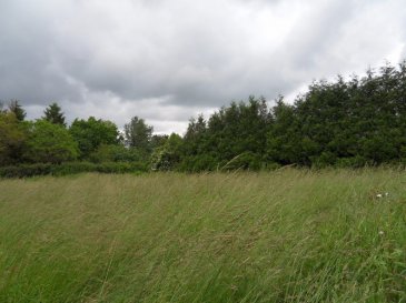 Terrain Courcelles-sur-Nied