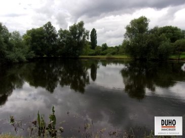 Jardin - Etang - Forêt Koenigsmacker