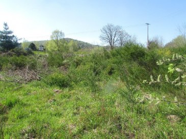 Terrain Saint-Nabord