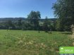 Maison Location 5 chambres à Bofferdange - 2 200 € Belle Maison unifamiliale partiellement rénovée avec vue dégagée.
5 chambres, 2 salles d‘eau, cuisine équipée, jardin.
Habitation ou utilisation mixte. // Pas de possibilité d‘y mettre une crèche
Peinture neuve, salle de bain neuf. 2 garages
Garantie Bancaire: 3 mois
Loyer: 2.200.-€