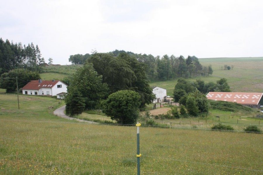 Haus Kaufen In Herzfeld Neueste Anzeigen Athome