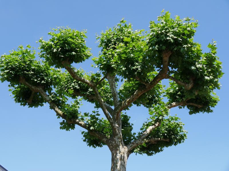Haus Kaufen In Koln Neueste Anzeigen Athome