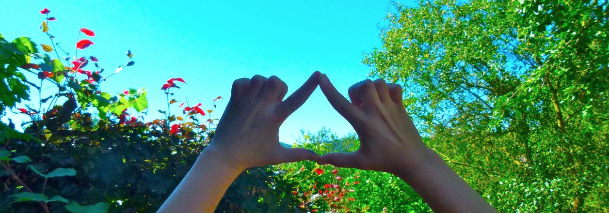 Vautz Immo S.à r.l. - Munsbach