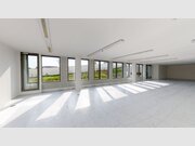 Bureau à louer à Leudelange - Réf. 6884864