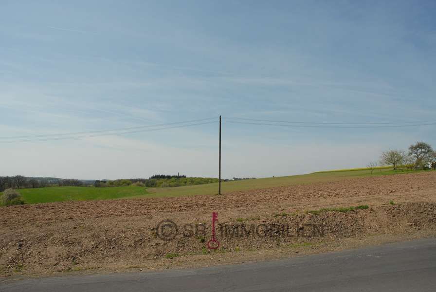 Terrain constructible à vendre à Altscheid