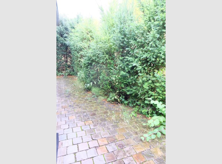 Apartment for rent 2 bedrooms in Luxembourg (LU) - Ref. 6924592
