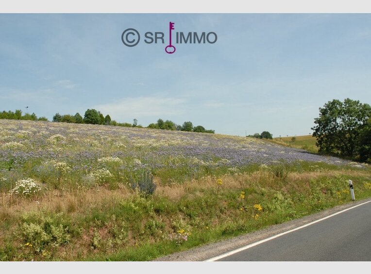 Terrain constructible à vendre à Utscheid (DE) - Réf. 6660928