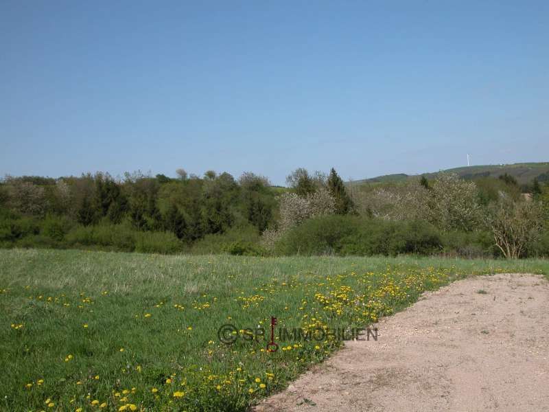 Terrain constructible à vendre à Neuerburg