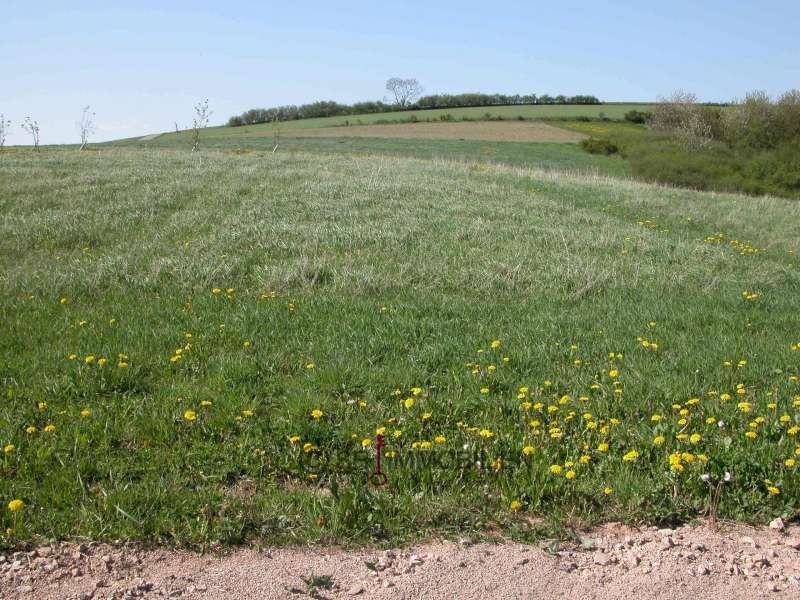 Terrain constructible à vendre à Neuerburg