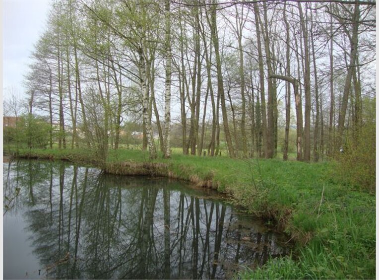 Terrain Ef Bf Bd Vendre Ef Bf Bd Ville Houdlemont Terrain Ef Bf Bd Vendre Ef Bf Bd Ville Houdlemont