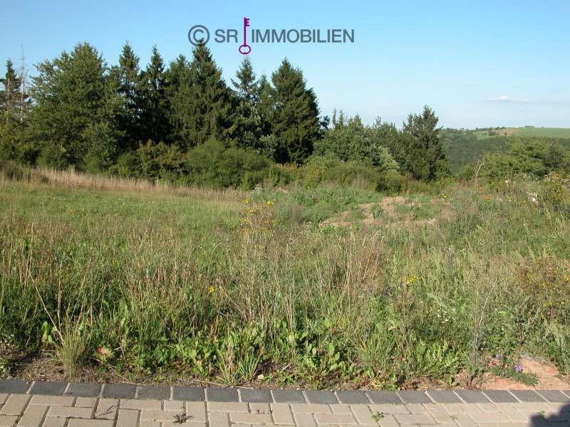 Terrain constructible