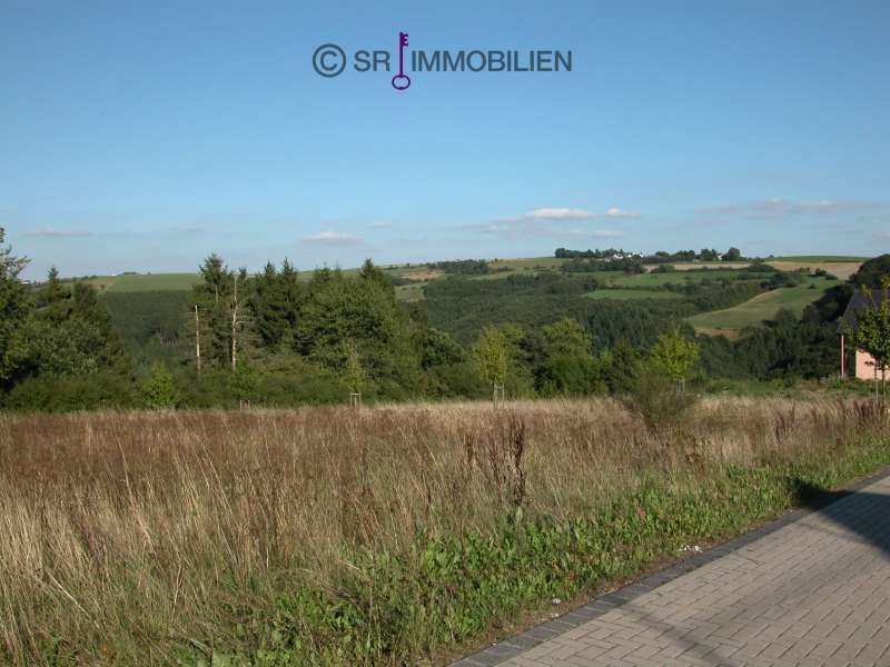Terrain constructible à vendre à Neuerburg