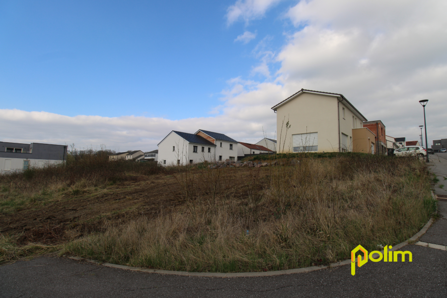 Terrain constructible