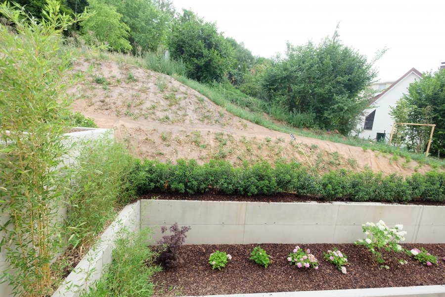 Appartement à louer 1 chambre à Luxembourg-Dommeldange