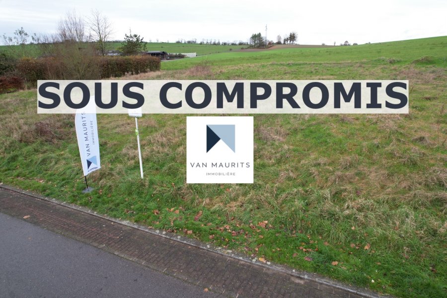 Terrain constructible