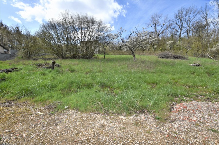 Terrain constructible