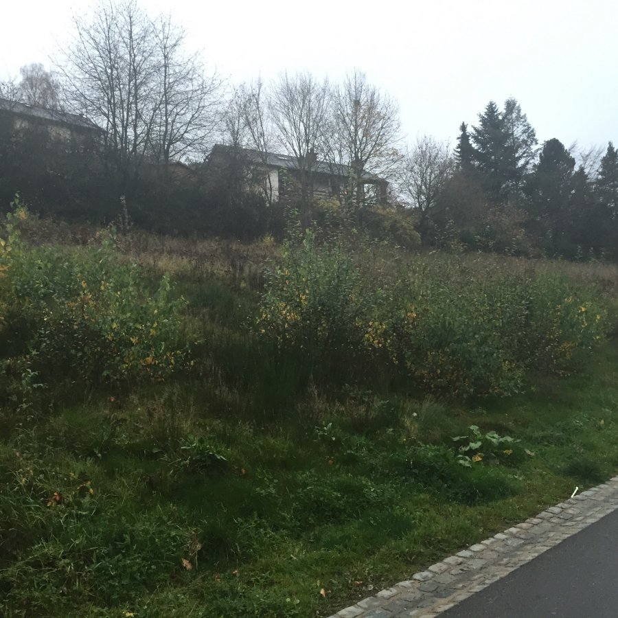 Terrain à vendre à Insenborn