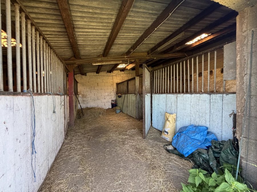 Maison à vendre 5 chambres à Wahlhausen