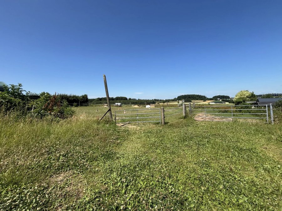 Maison à vendre 5 chambres à Wahlhausen