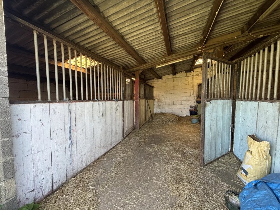 Maison à vendre 5 chambres à Wahlhausen