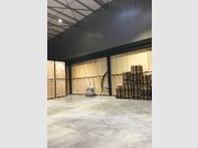 Entrepôt à louer à Flatzbour - Réf. 7100529