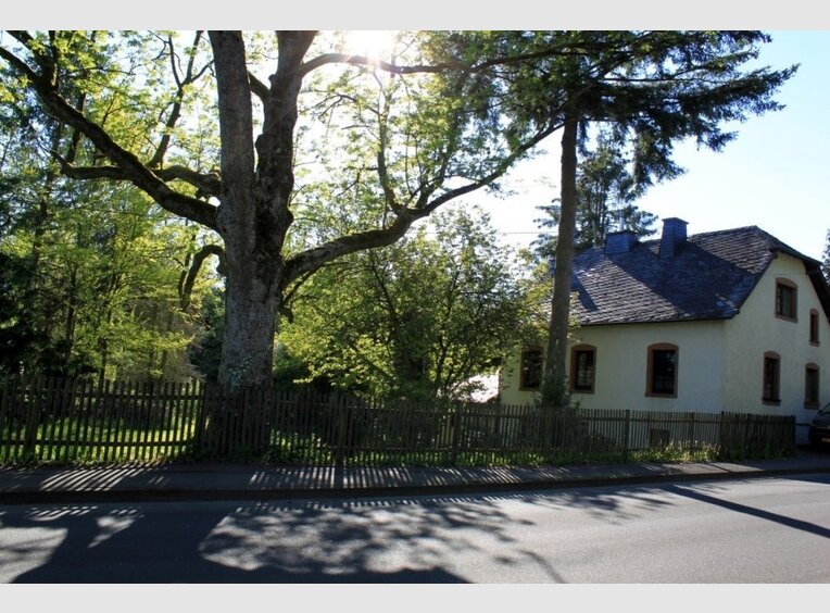 Maison individuelle à vendre 5 Pièces à Daleiden (DE) - Réf. 7221105