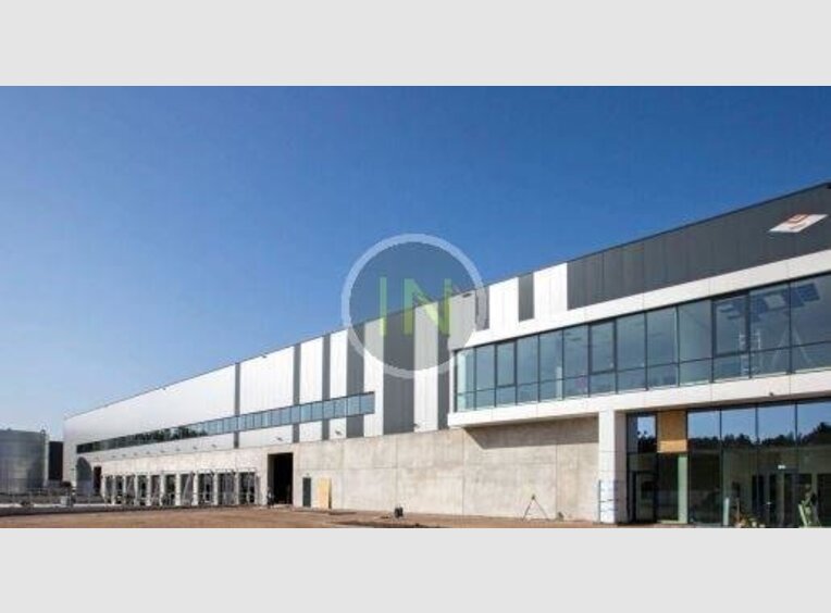 Entrepôt à louer à Dudelange (LU) - Réf. 7012209