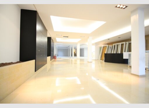 Local commercial à louer à Luxembourg (LU) - Réf. 5225601
