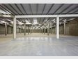 Entrepôt à louer à Contern - Réf. 7335313