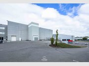 Entrepôt à louer à Contern - Réf. 7335313