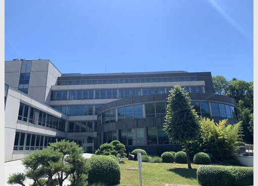 Bureau à louer à Luxembourg (LU) - Réf. 7171297