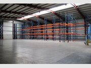 Entrepôt à louer à Mersch - Réf. 7119890