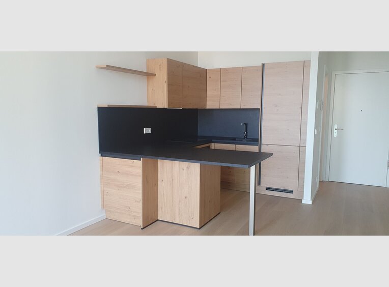 Wohnung zur Miete 1 Zimmer in Luxembourg (LU) - Ref. 7120194