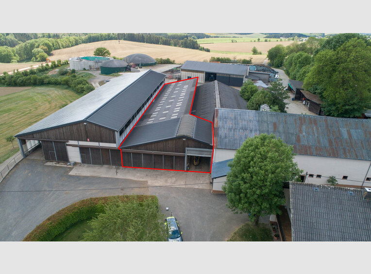 Entrepôt à louer à Leidenborn (DE) - Réf. 7026018