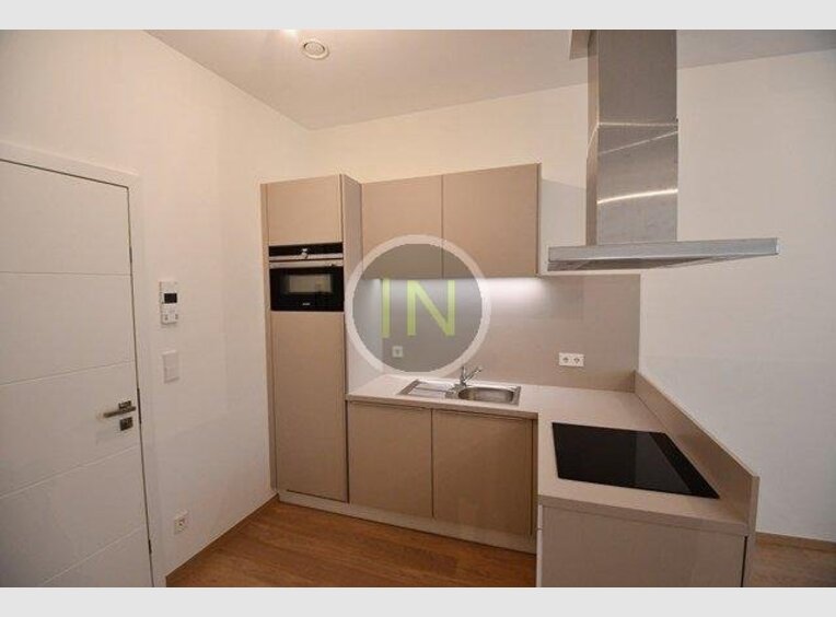 Studio à louer à Luxembourg (LU) - Réf. 7309922
