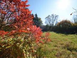 Terrain à vendre à Fentange - Réf. 5620594
