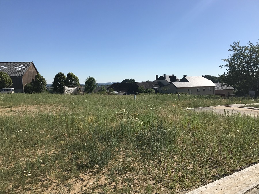 Terrain à vendre à Dahlem