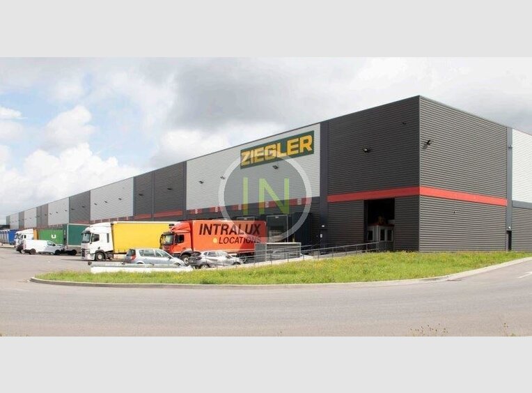 Entrepôt à louer à Dudelange (LU) - Réf. 7012210