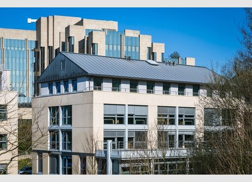 Bureau à louer à Luxembourg (LU) - Réf. 7224978