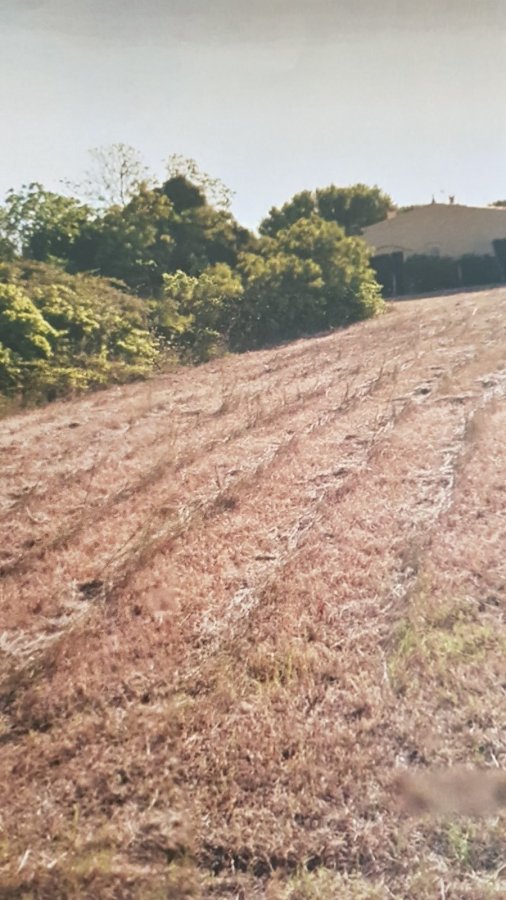 Terrain constructible à vendre à Salles d'Aude 