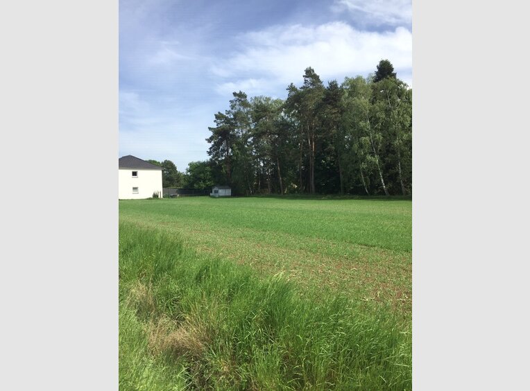 Terrain constructible à vendre à Condé-Northen (FR) - Réf. 6743458