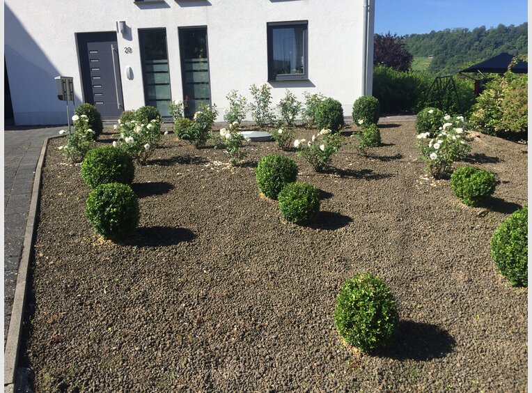 Maison individuelle à vendre 7 Pièces à Wellen (DE) - Réf. 7161506