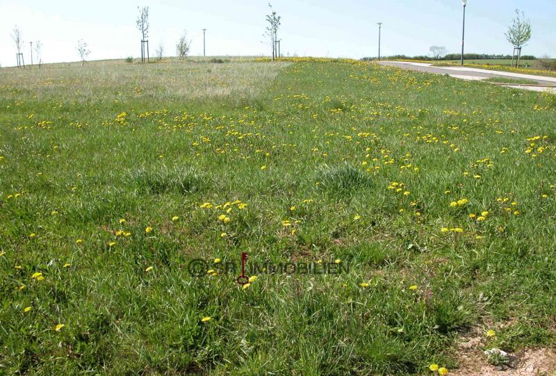 Terrain constructible