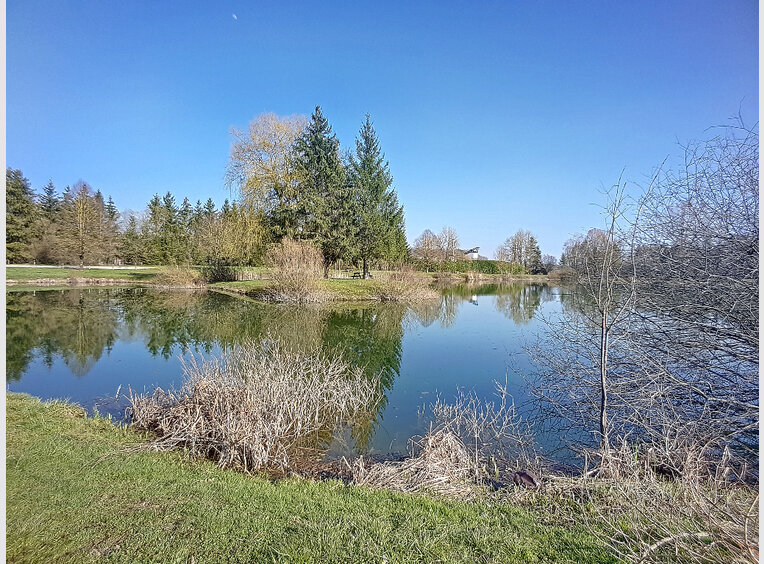 Terrain constructible à vendre à Ligny-en-Barrois (FR) - Réf. 7165618