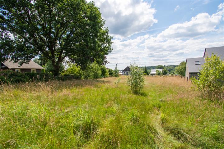 building land for buy 0 room 0 m² paliseul photo 5